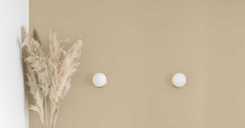 Nuances de couleur peinture pour salon moderne ambiance cosy